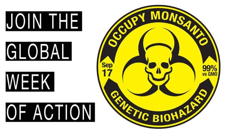 Immagine di copertina per il post