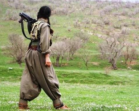 Immagine di copertina per il post