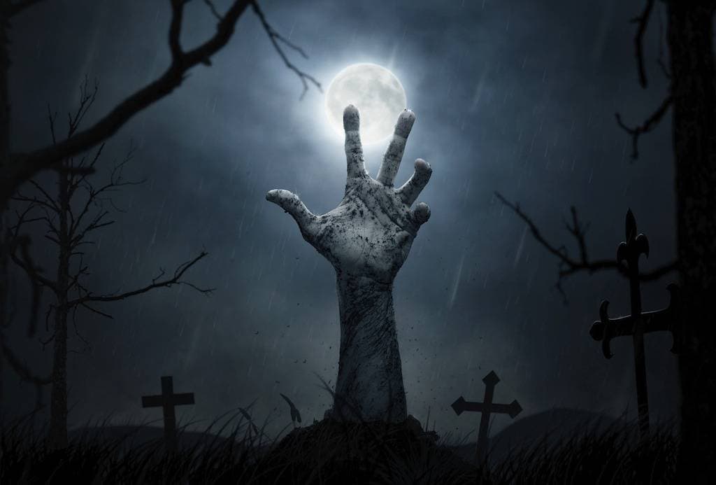 Immagine di copertina per il post