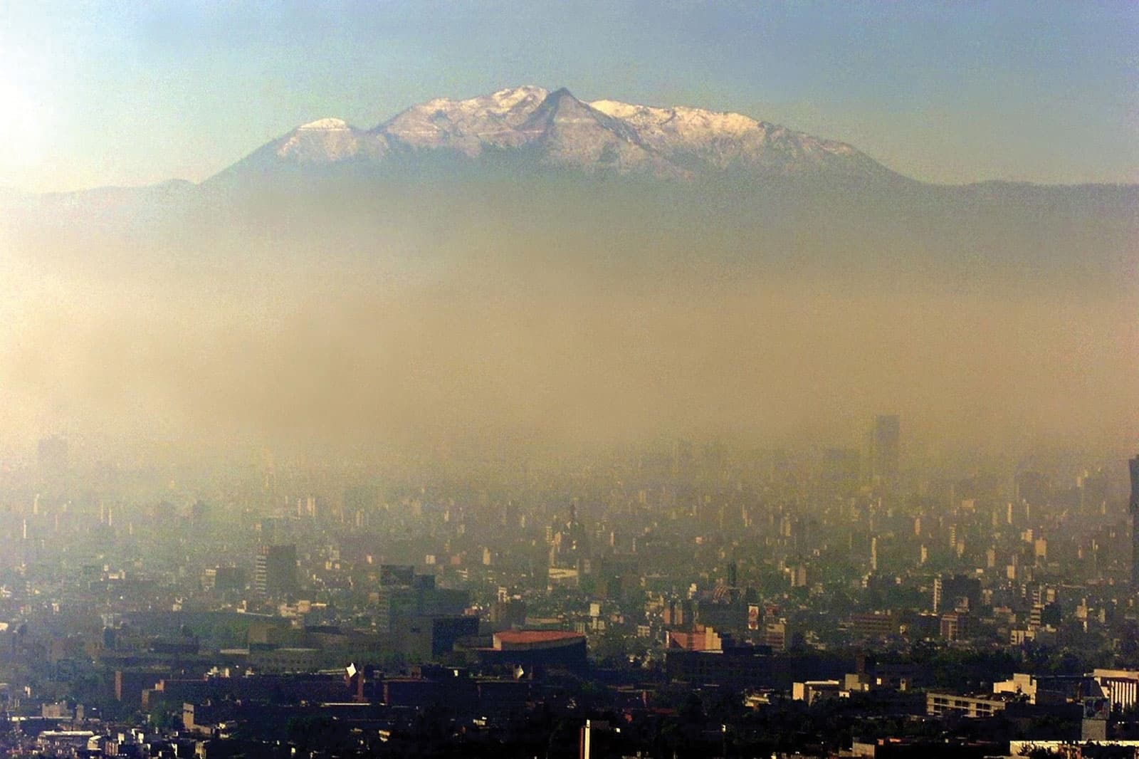Immagine di copertina per il post