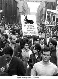 Immagine di copertina per il post
