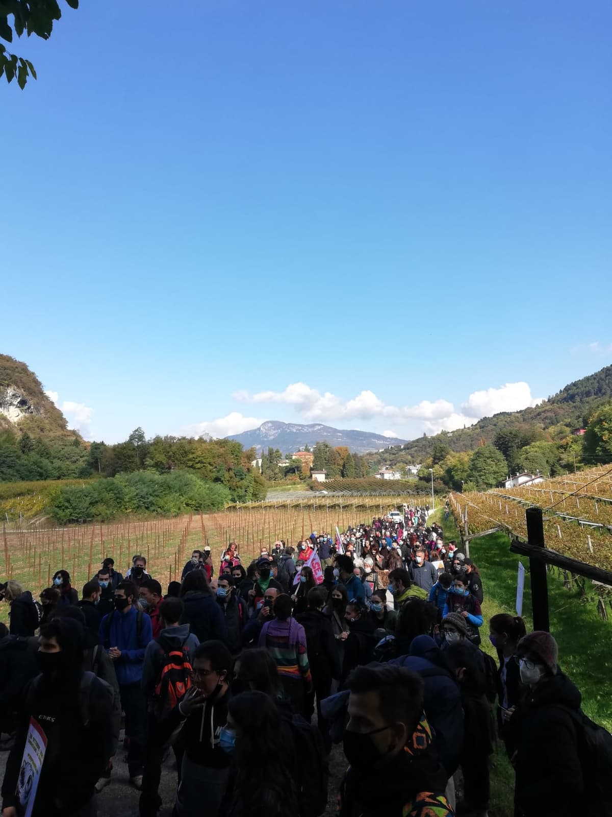 Immagine di copertina per il post