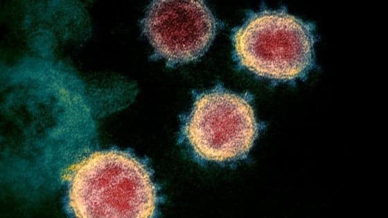 Immagine di copertina per il post