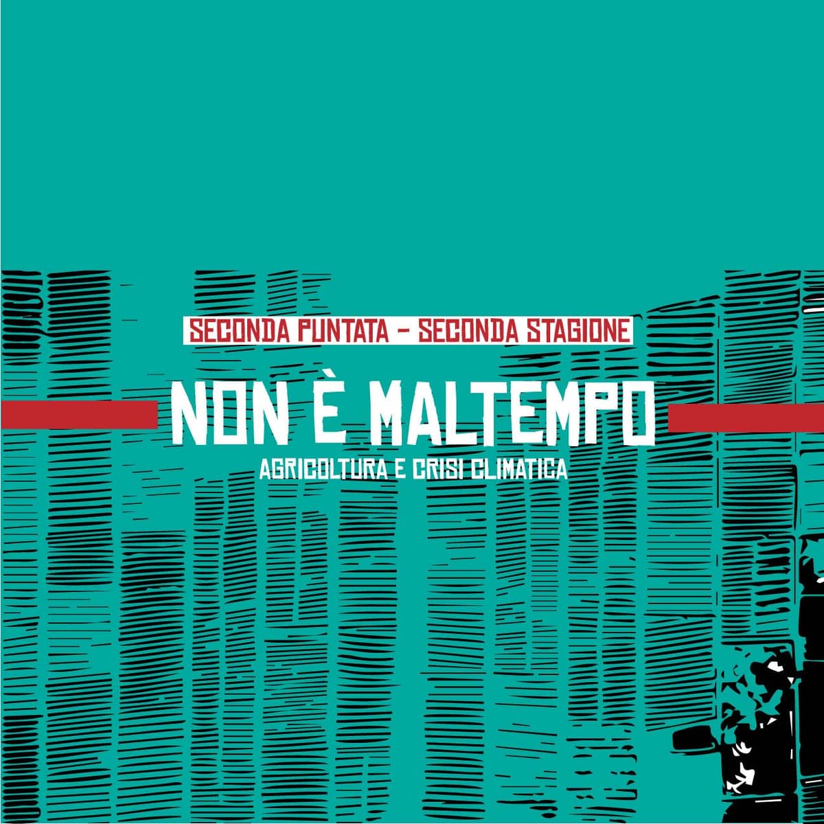 Immagine di copertina per il post