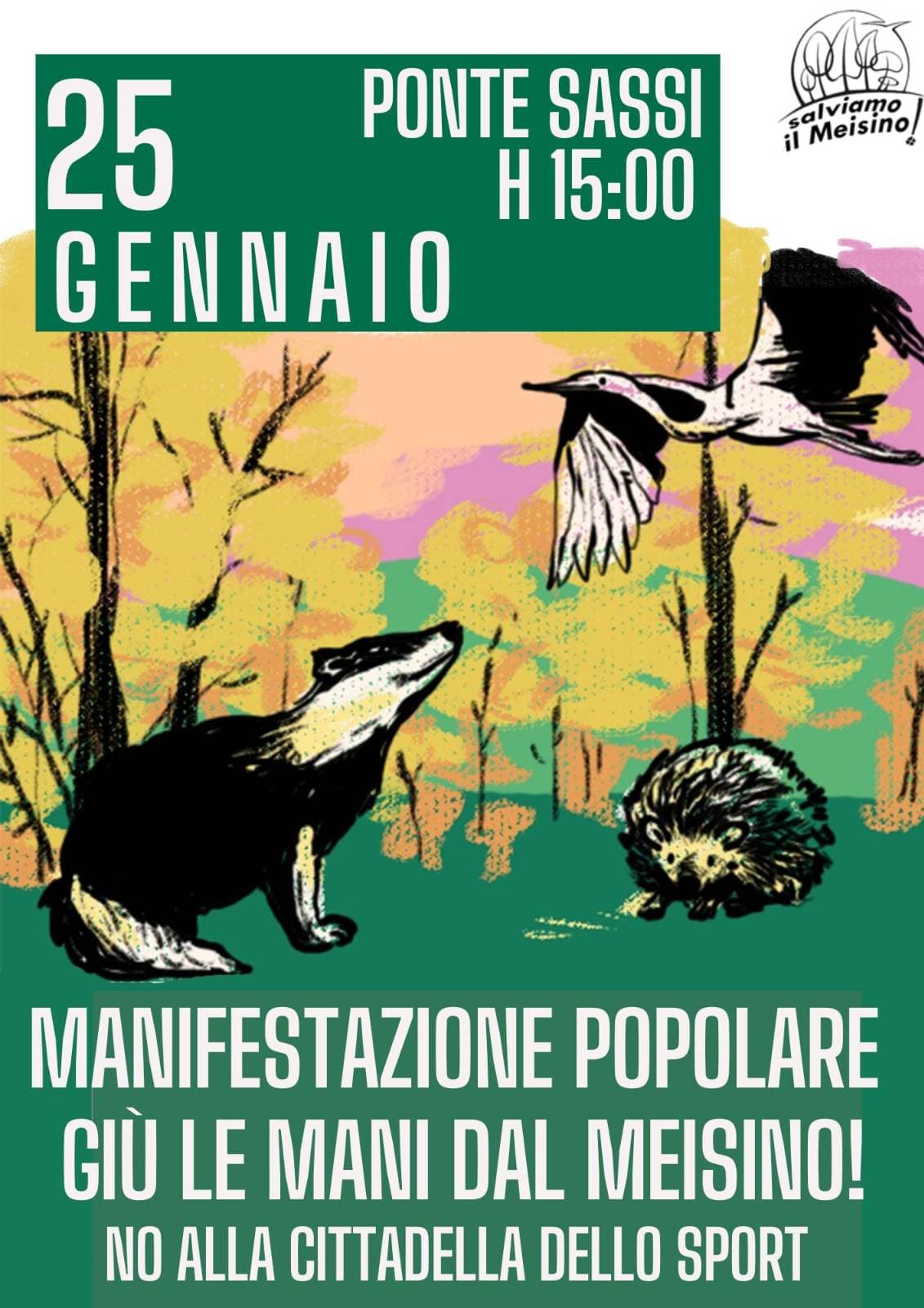 Immagine di copertina per il post