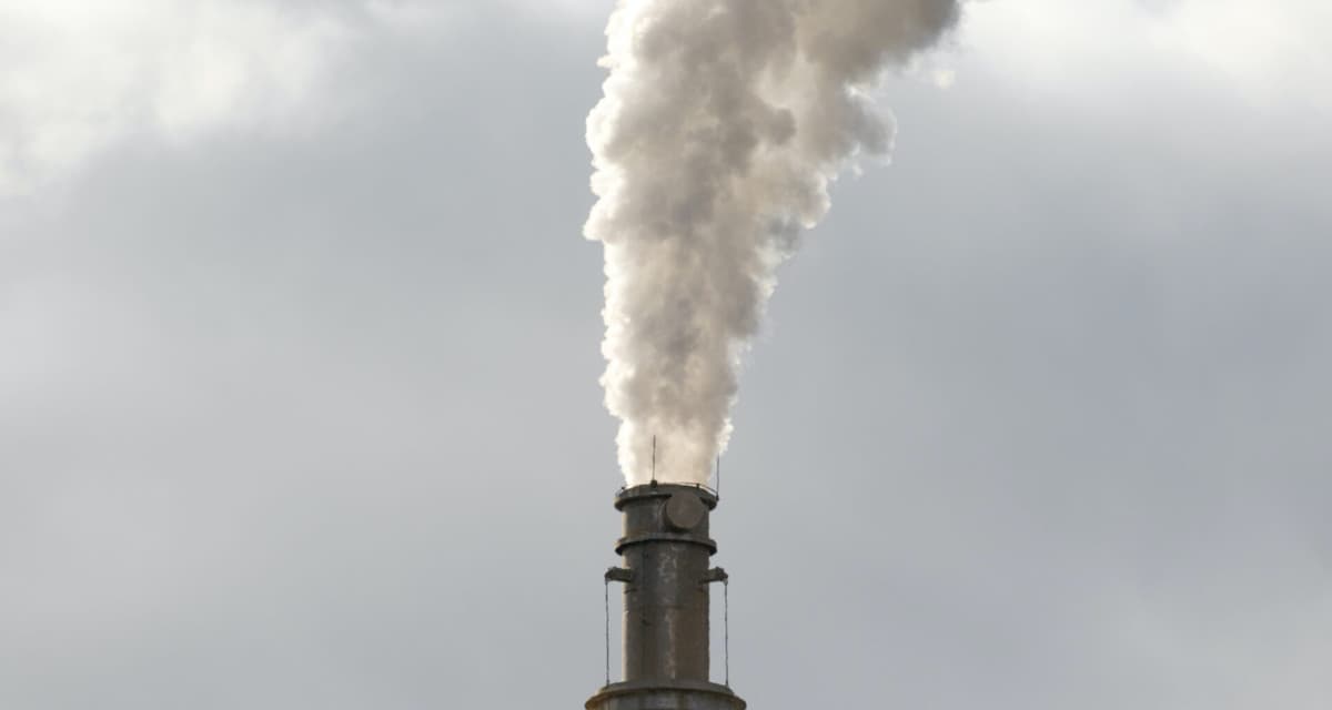 Immagine di copertina per il post