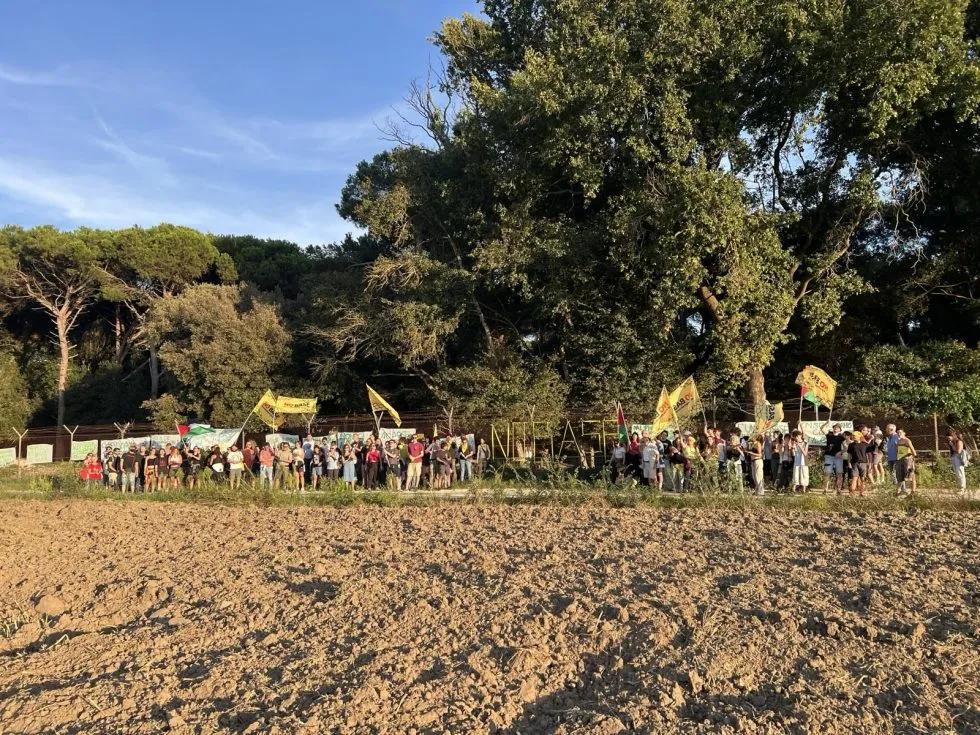 Immagine di copertina per il post