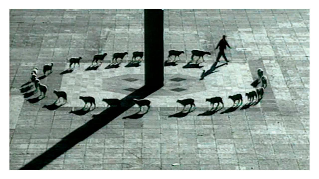 Immagine di copertina per il post