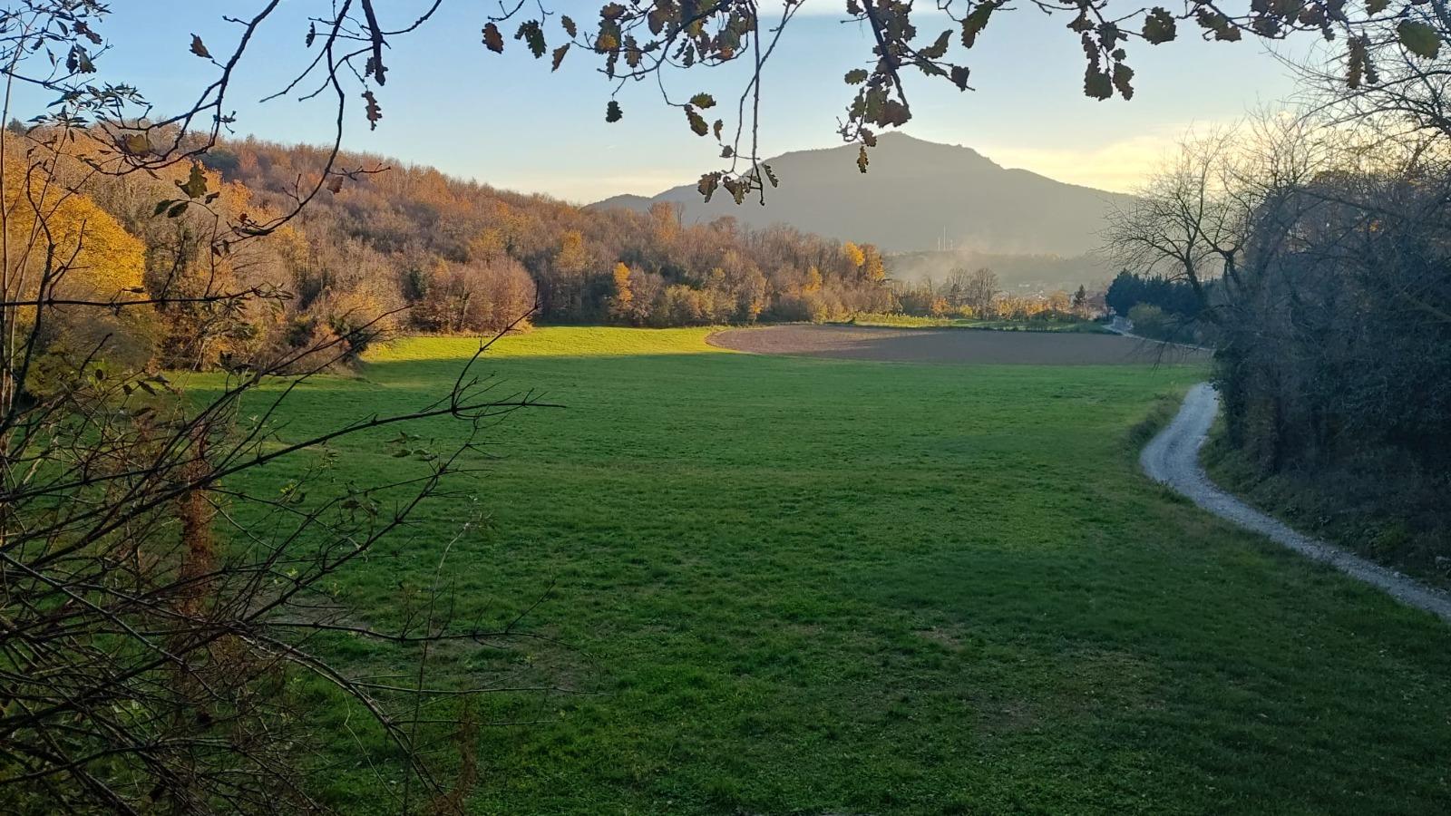 Immagine di copertina per il post