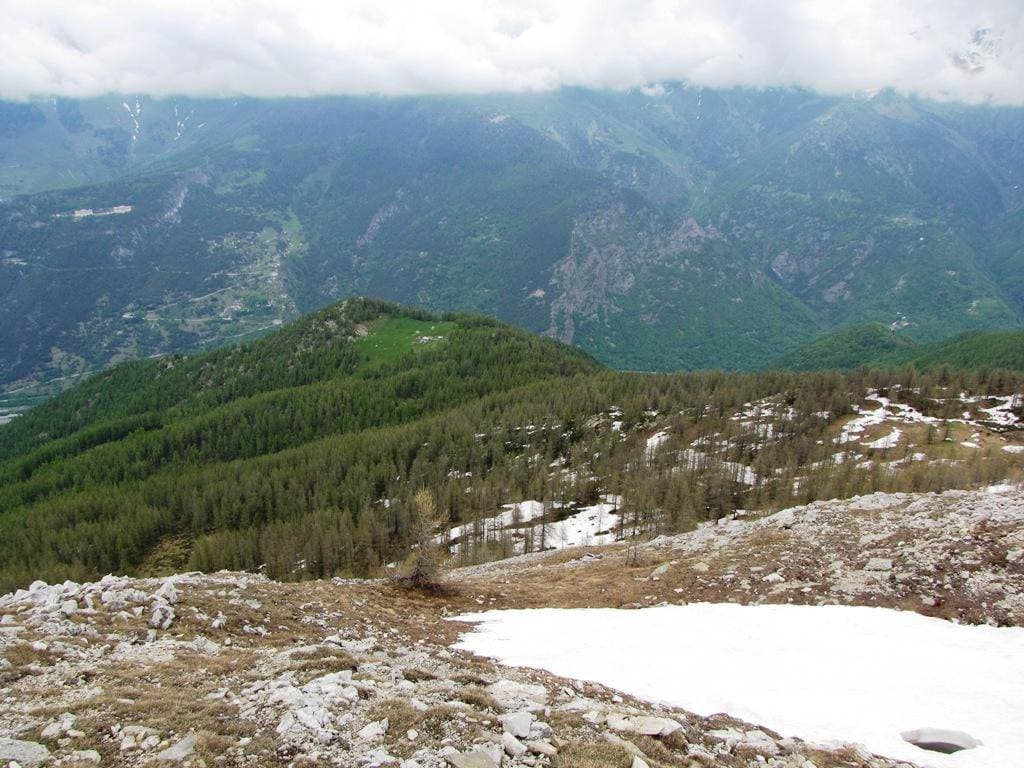 Immagine di copertina per il post
