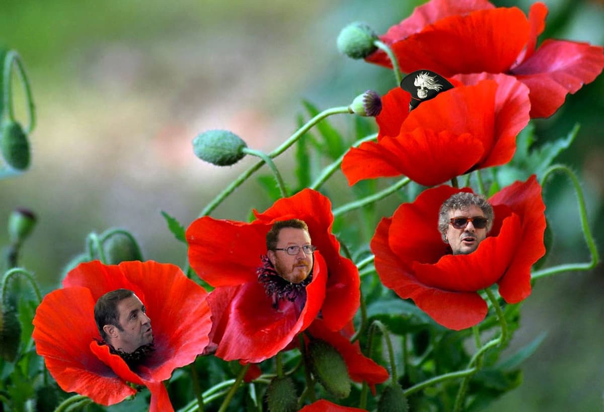 Immagine di copertina per il post