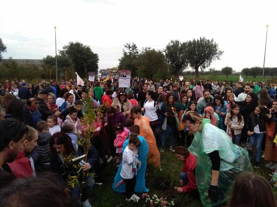 Immagine di copertina per il post