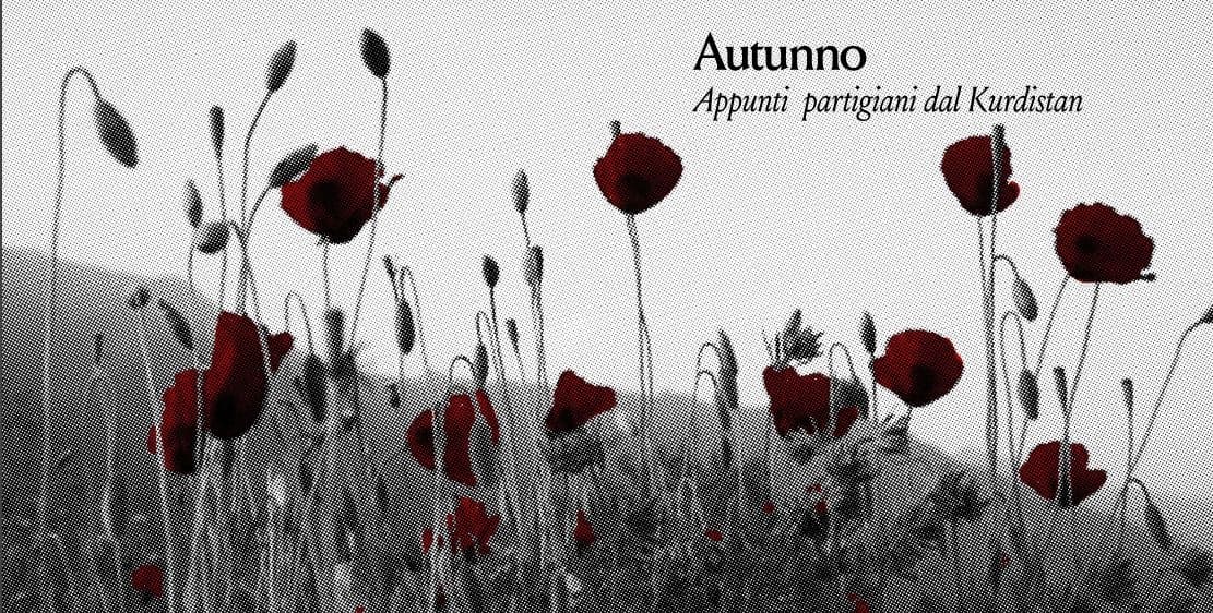 Immagine di copertina per il post