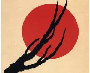 Immagine di copertina per il post