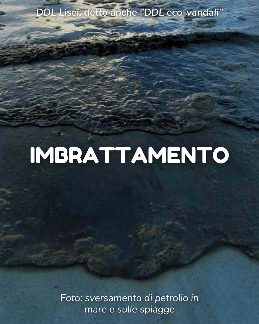Immagine di copertina per il post