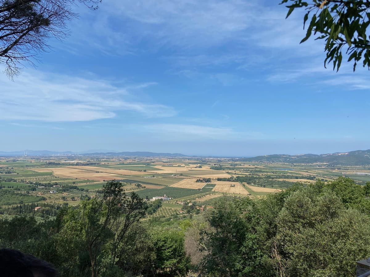 Immagine di copertina per il post