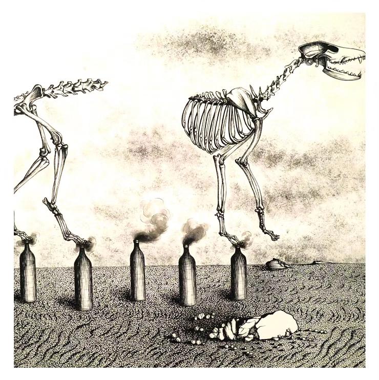 Immagine di copertina per il post