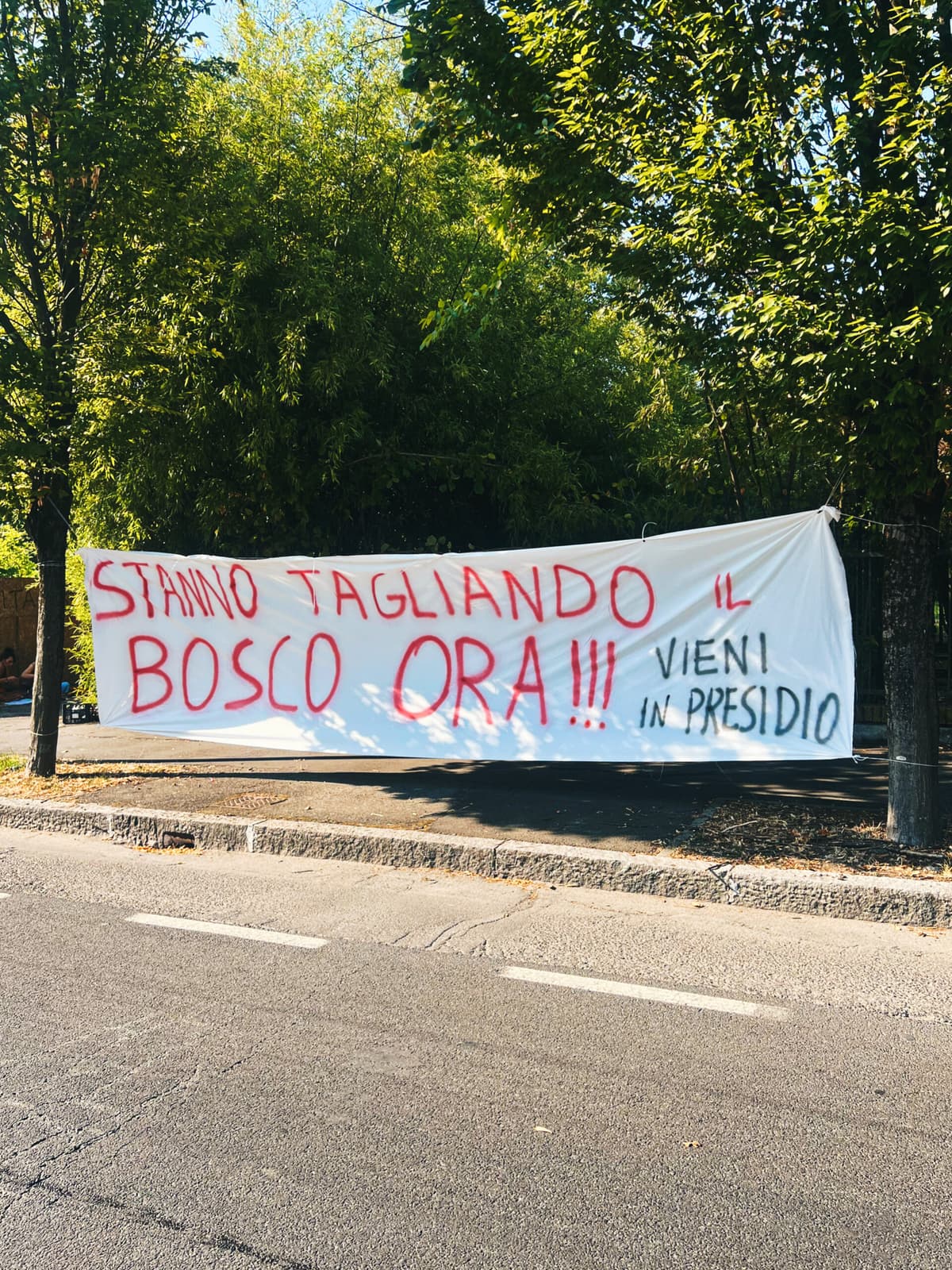 Immagine di copertina per il post
