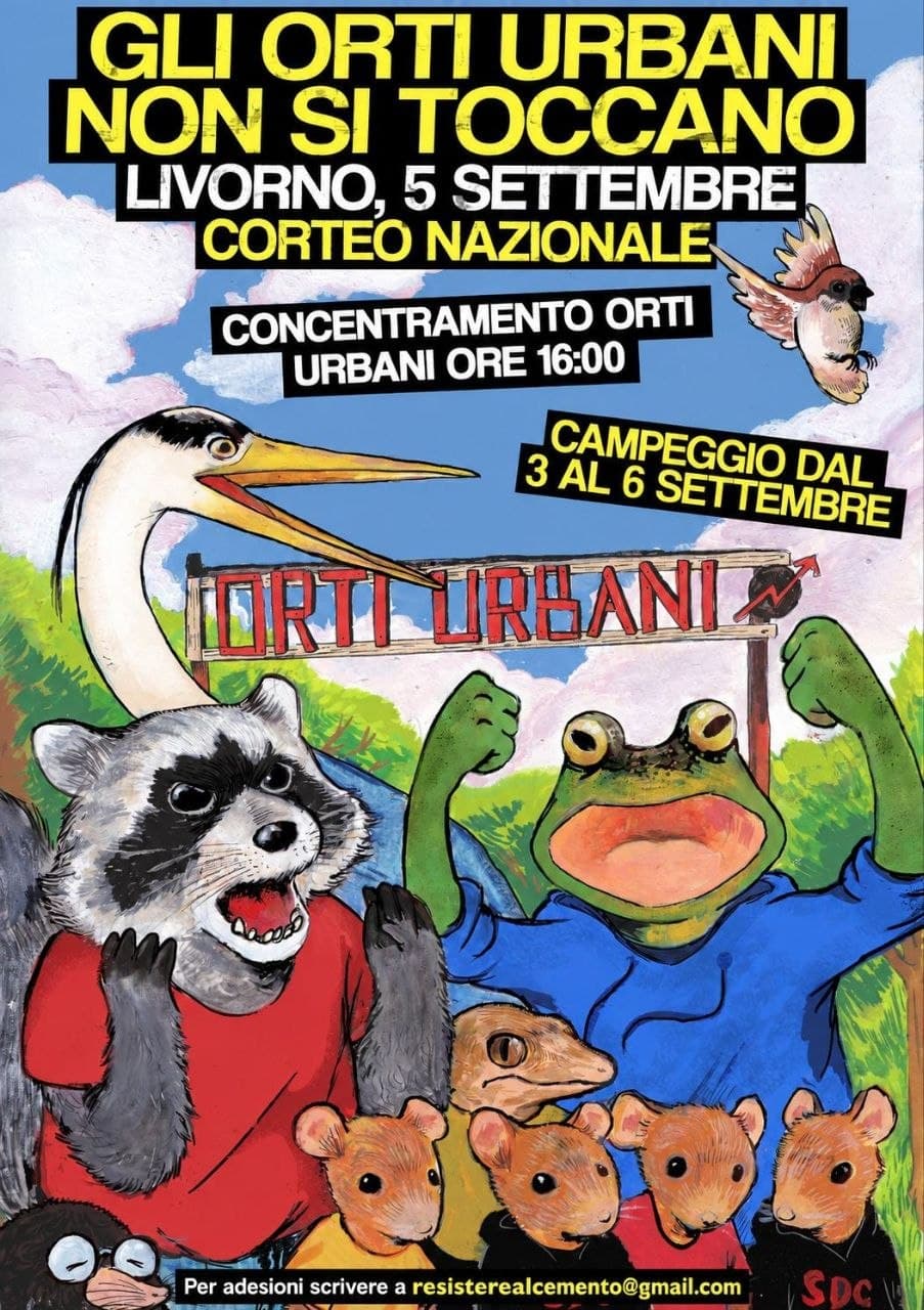Immagine di copertina per il post