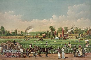 310px Cotton plantation on the Mississippi 1884 cropped
