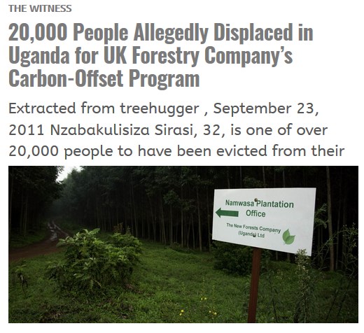 New Forests Company en Uganda1 