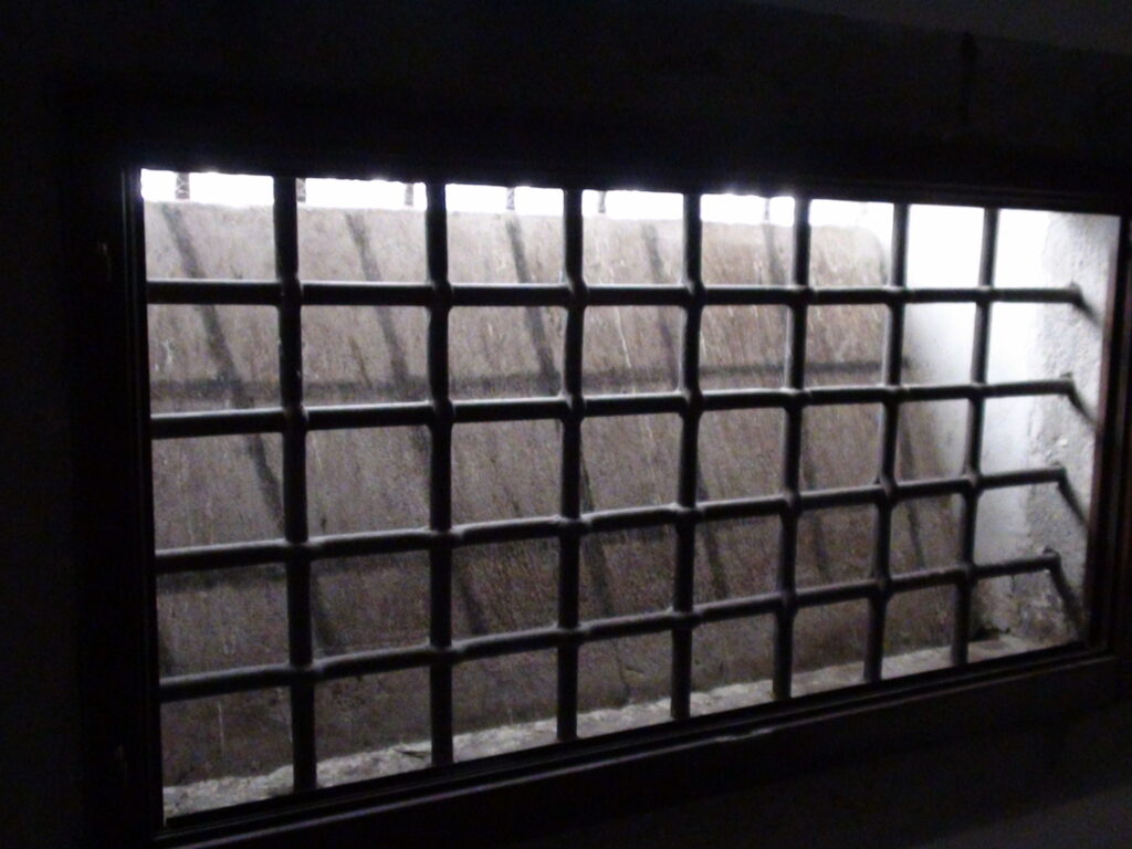 “Alfredo Cospito sta morendo per continuare a vivere” intervista a