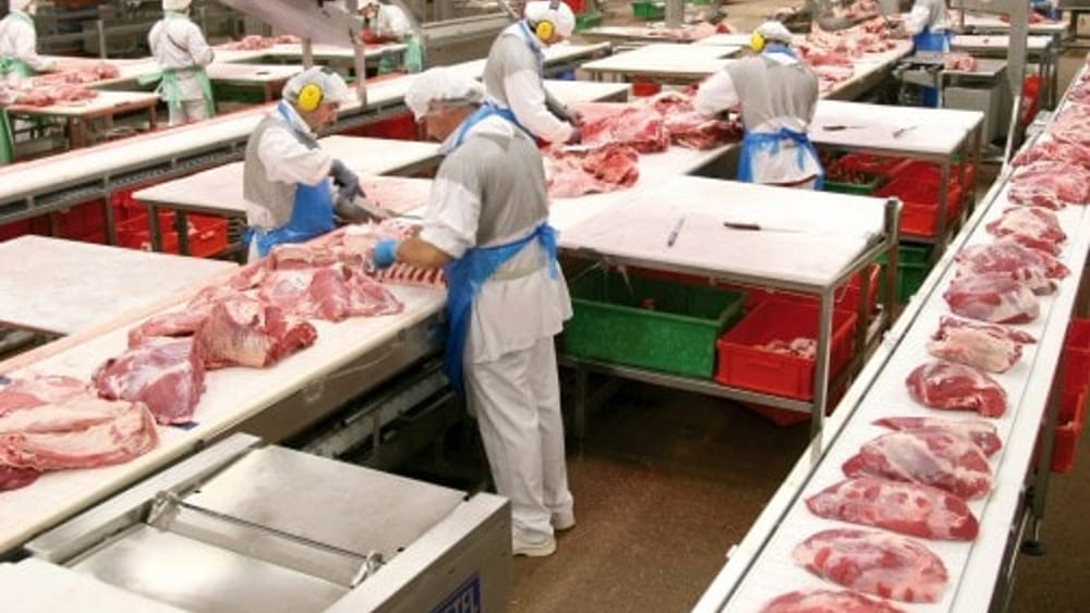Le pesantissime condizioni di lavoro nell’industria delle carni a Modena