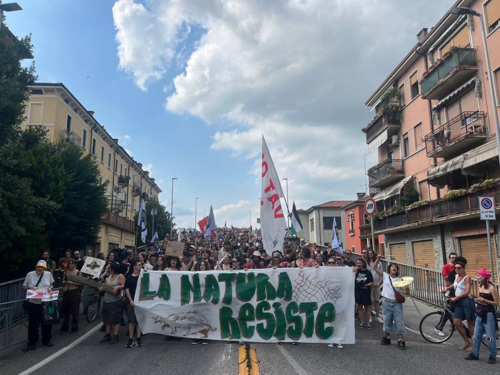 Vicenza: in mille in strada per difendere i boschi dal TAV