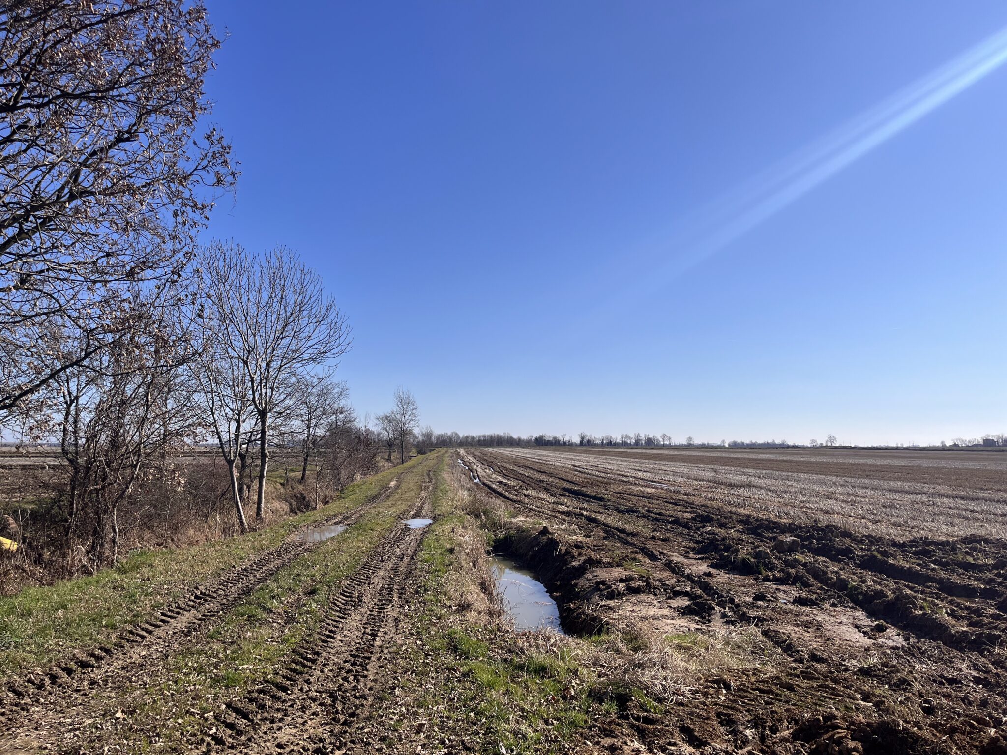 Carisio: arrivato il preavviso di esproprio sui terreni di un agricoltore in vista del progetto di stazione elettrica per impianti agri-fotovoltaici