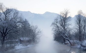 La Germania è in crisi e vaga nella nebbia