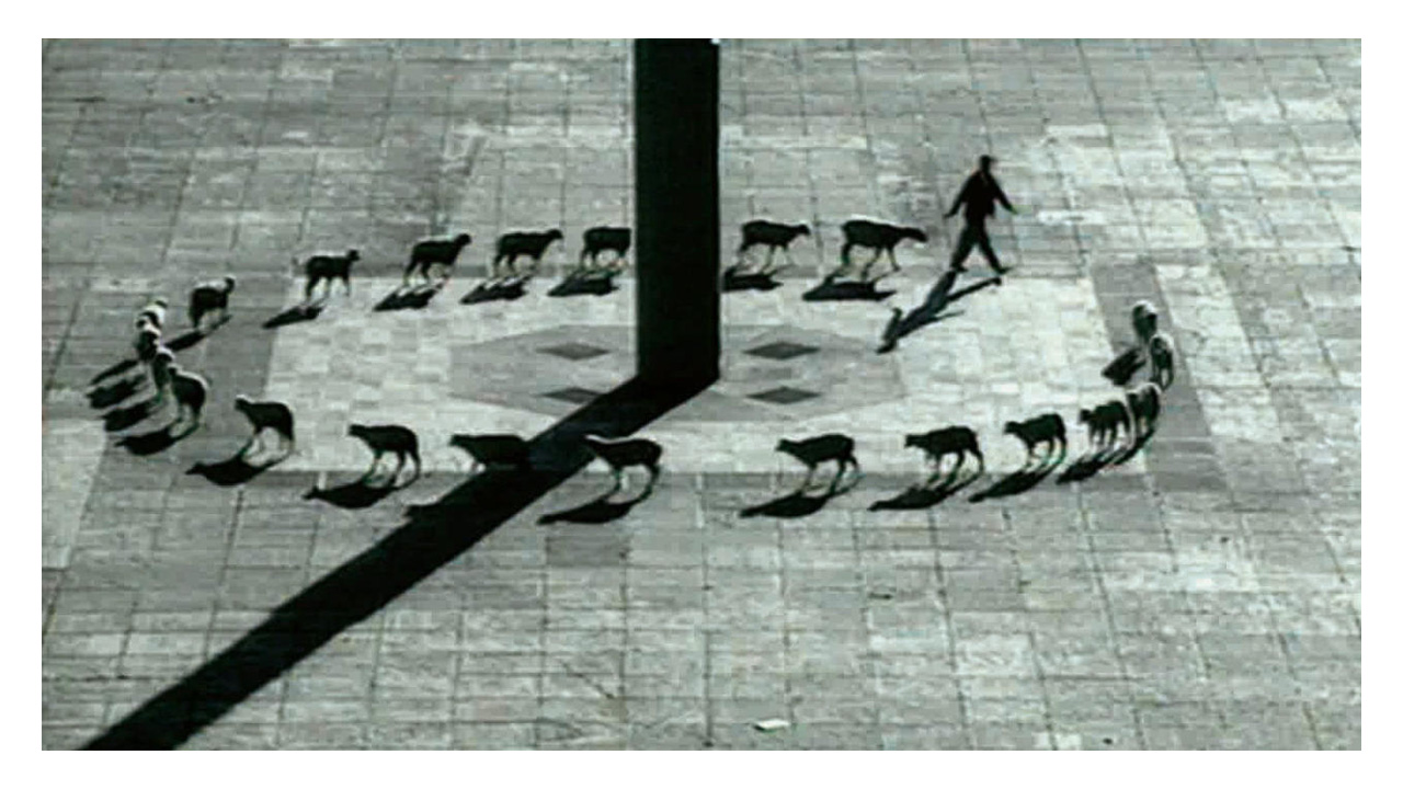 L’importante non è partecipare