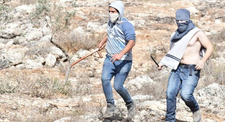 Palestina, i coloni attaccano volontari internazionali: feriti tre italiani