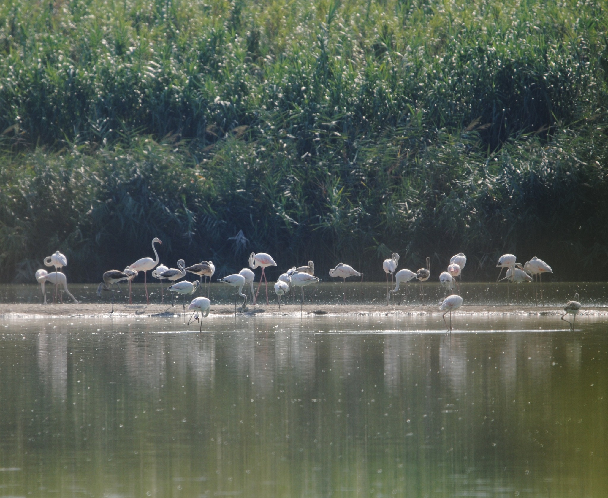 Aeroporto di Firenze: il “conflitto progettuale” è ancora aperto