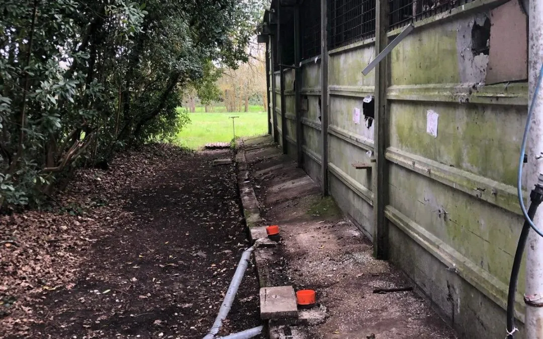 Chi ha paura della pace?