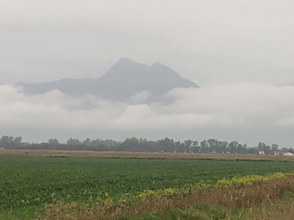 Amendolara, piana di Cerchiara: province di Bruxelles