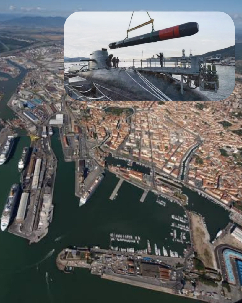 Porto di Livorno, nodo nevralgico della filiera militare