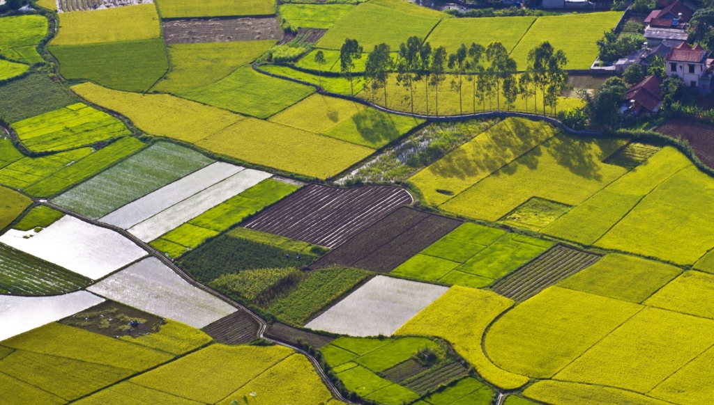 Presidio a Biella: giù le mani dal Brianco. No al progetto agrivoltaico della società israeliana Ecoenergy