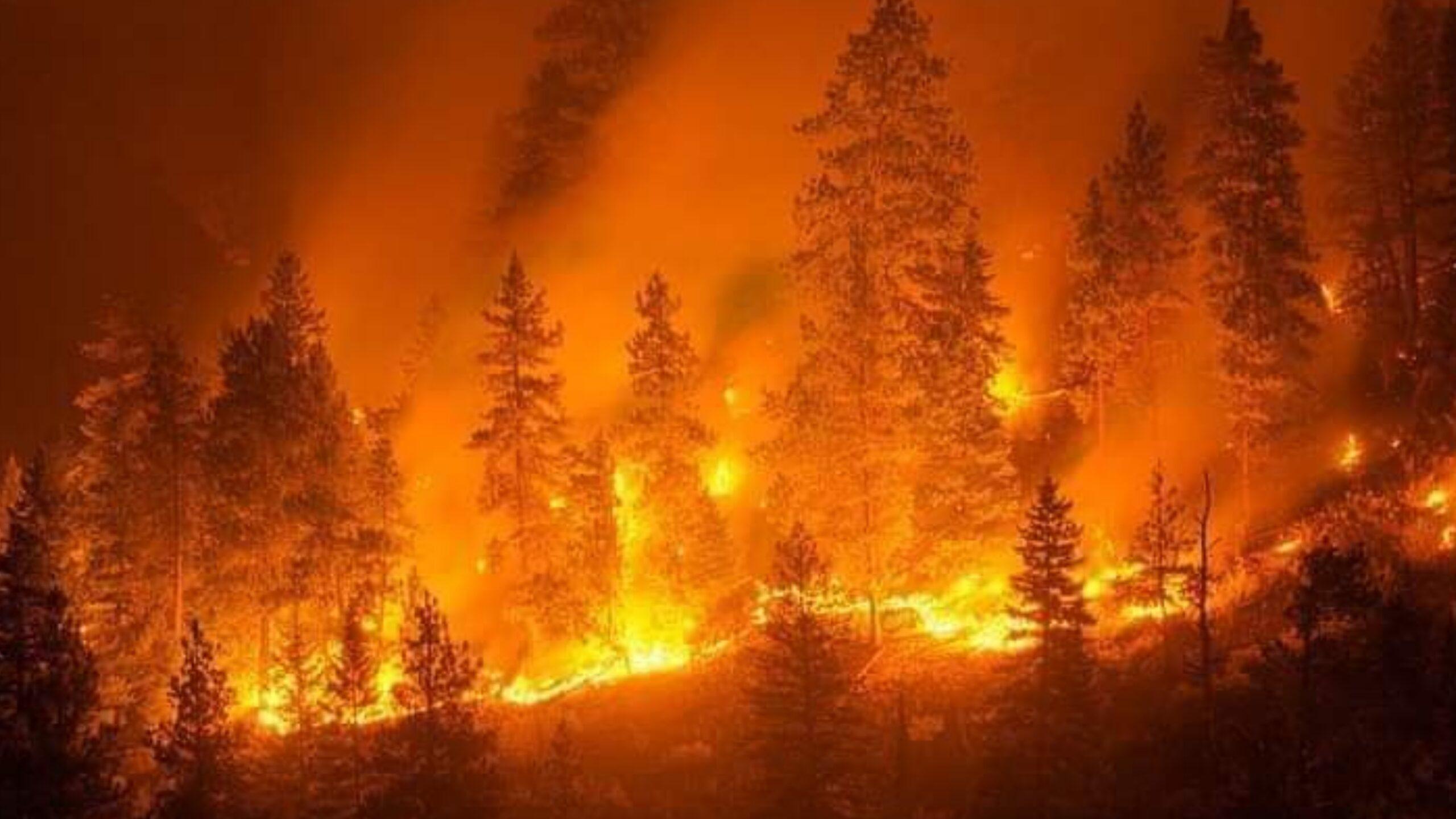Considerazioni a caldo: anatomia di un’estate italiana, tra ondate di calore e siccità